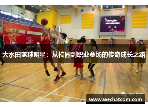 大水田篮球明星：从校园到职业赛场的传奇成长之路